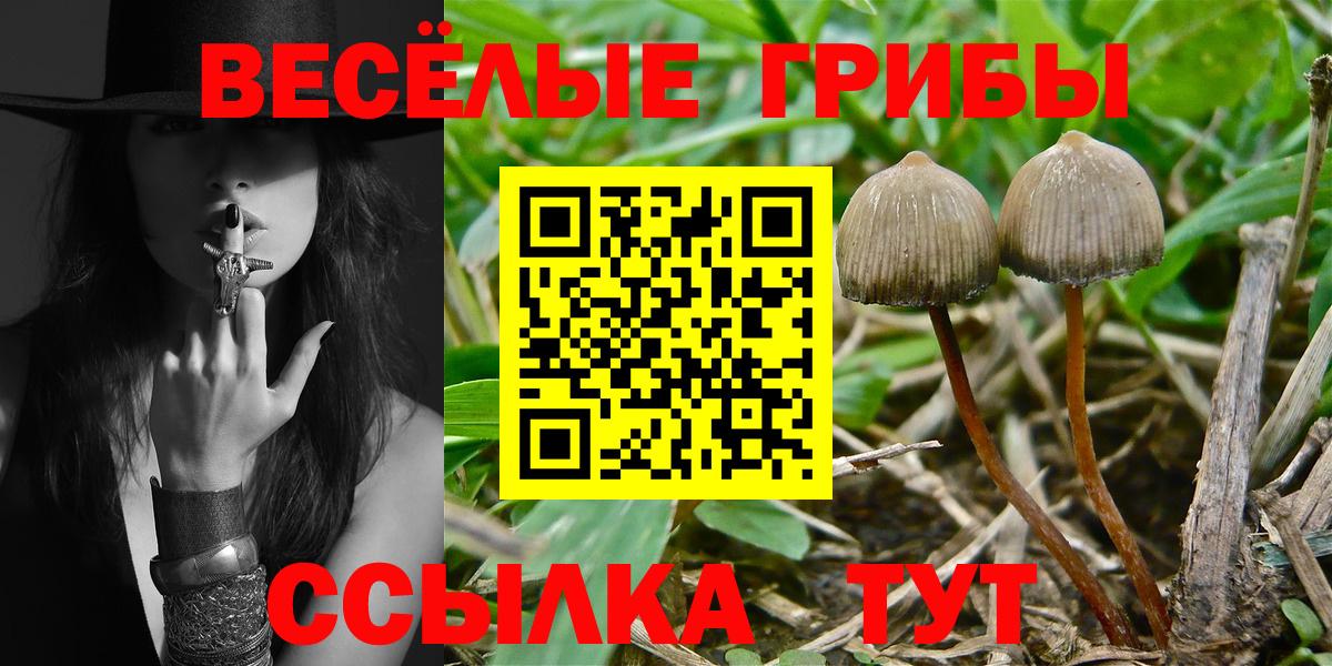 Псилоцибиновые грибы Magic Shrooms Калуга
